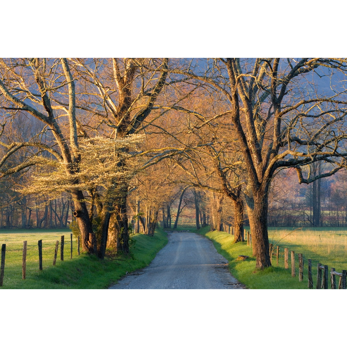 056b6560d9a6357cd146600381412b14 Sunset Path By Jimmy'z - Light Brown - Image 1