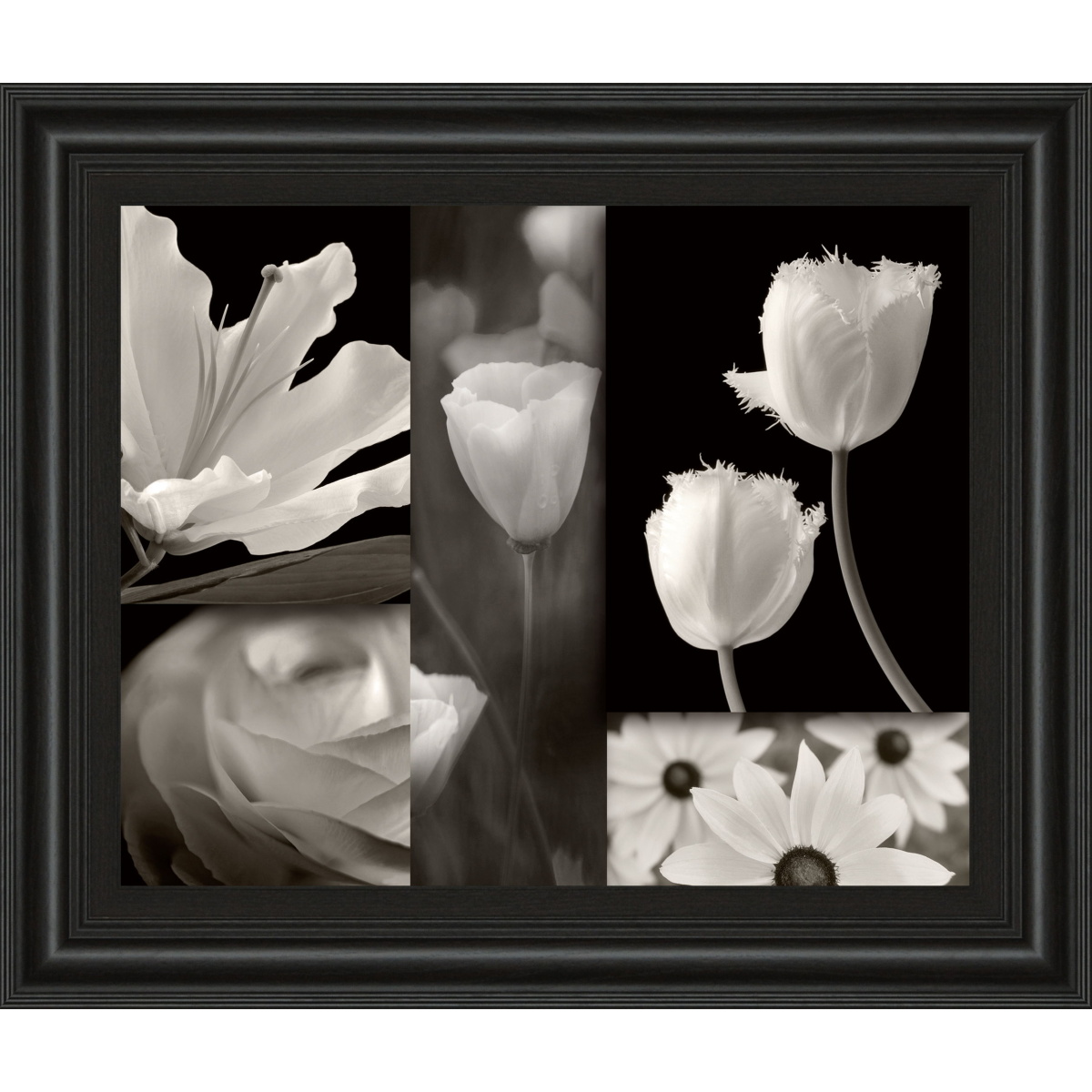 1371139781ebde9e9e27c8bbc11f3424 Summer Garden Il By Dennis Frates - Framed Print Wall Art - Dark Gray - Image 1