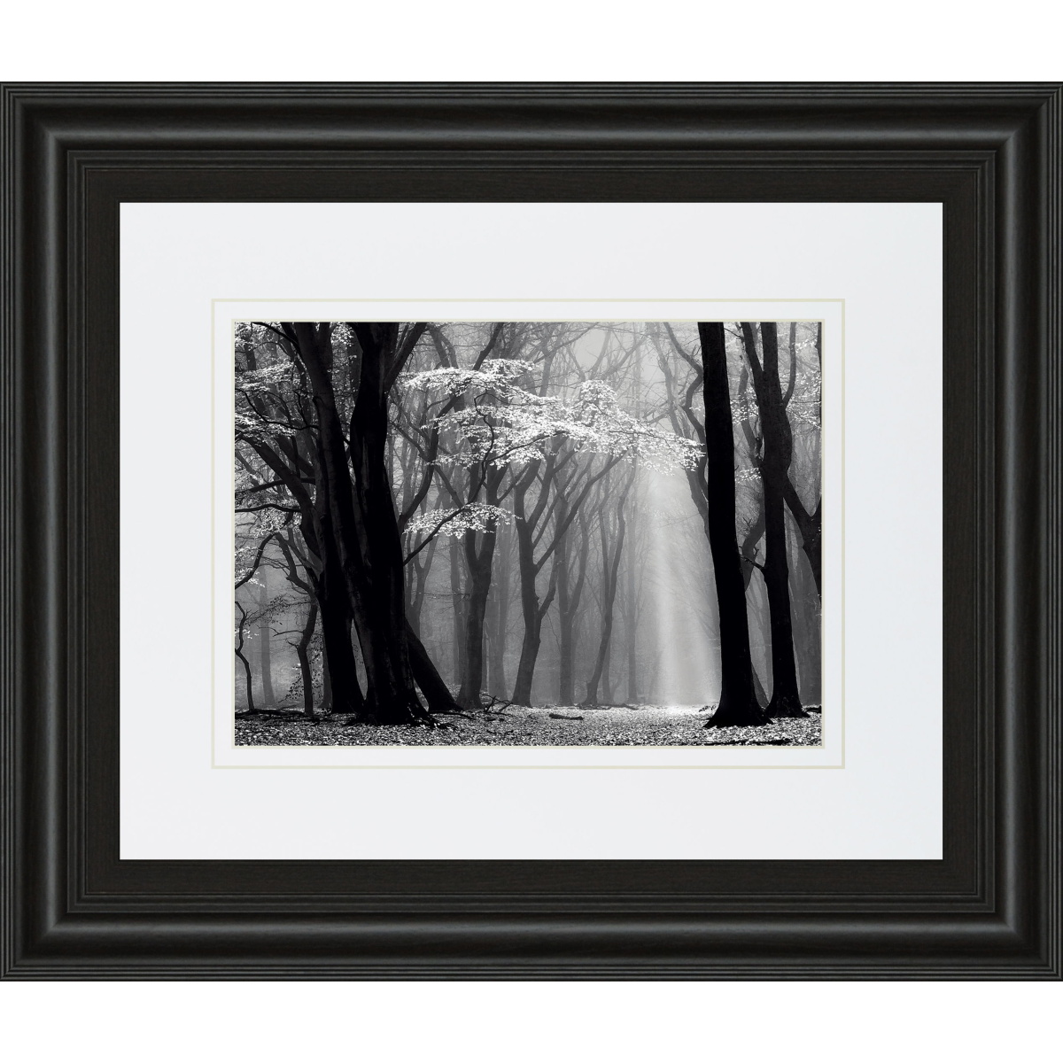22a9610febd17b14d74d2c2cf114de0d Winter Is Coming By Lars Van De Goor - Framed Print Wall Art - Black - Image 1