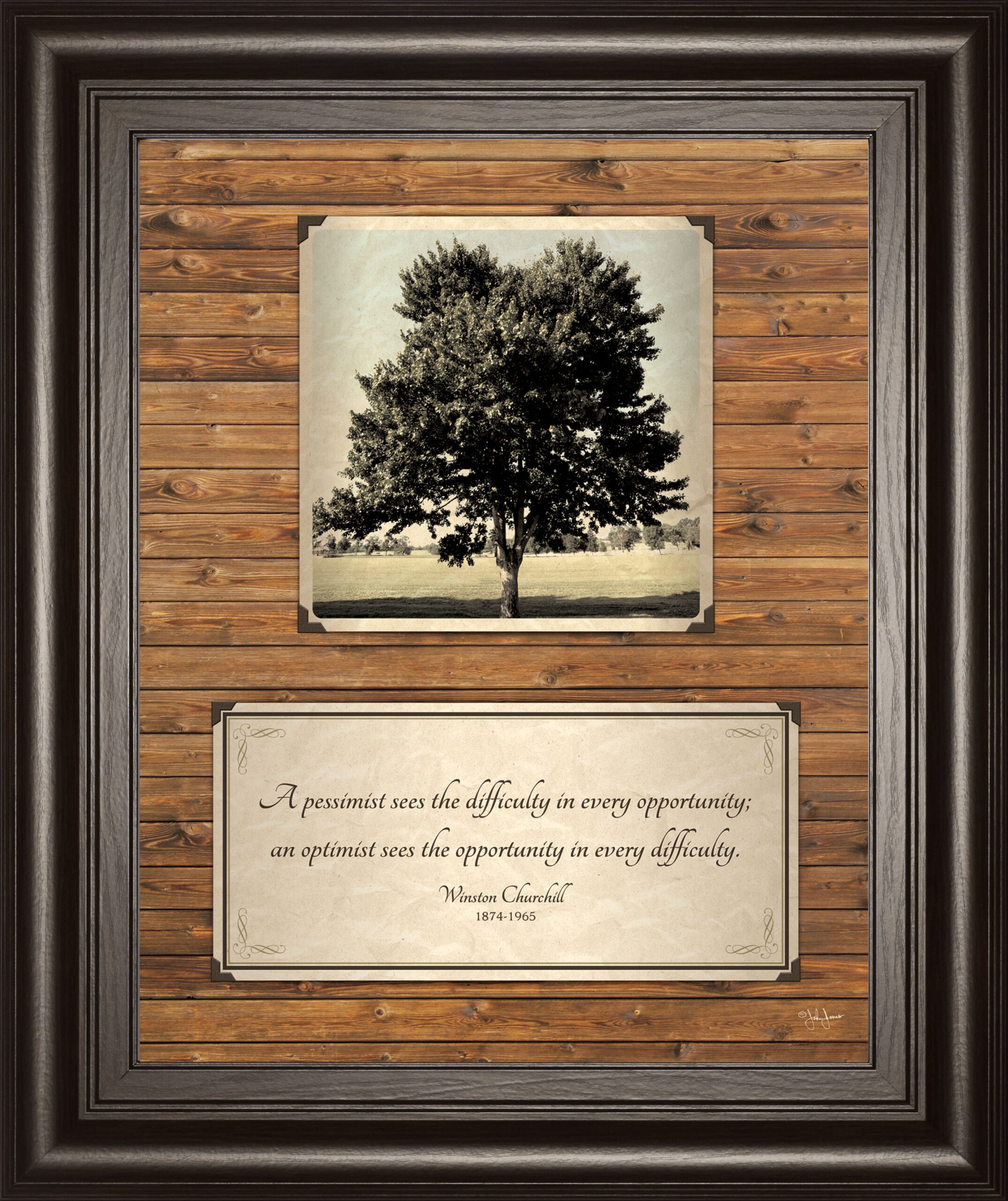 Opportunity By John Jones - Light Brown