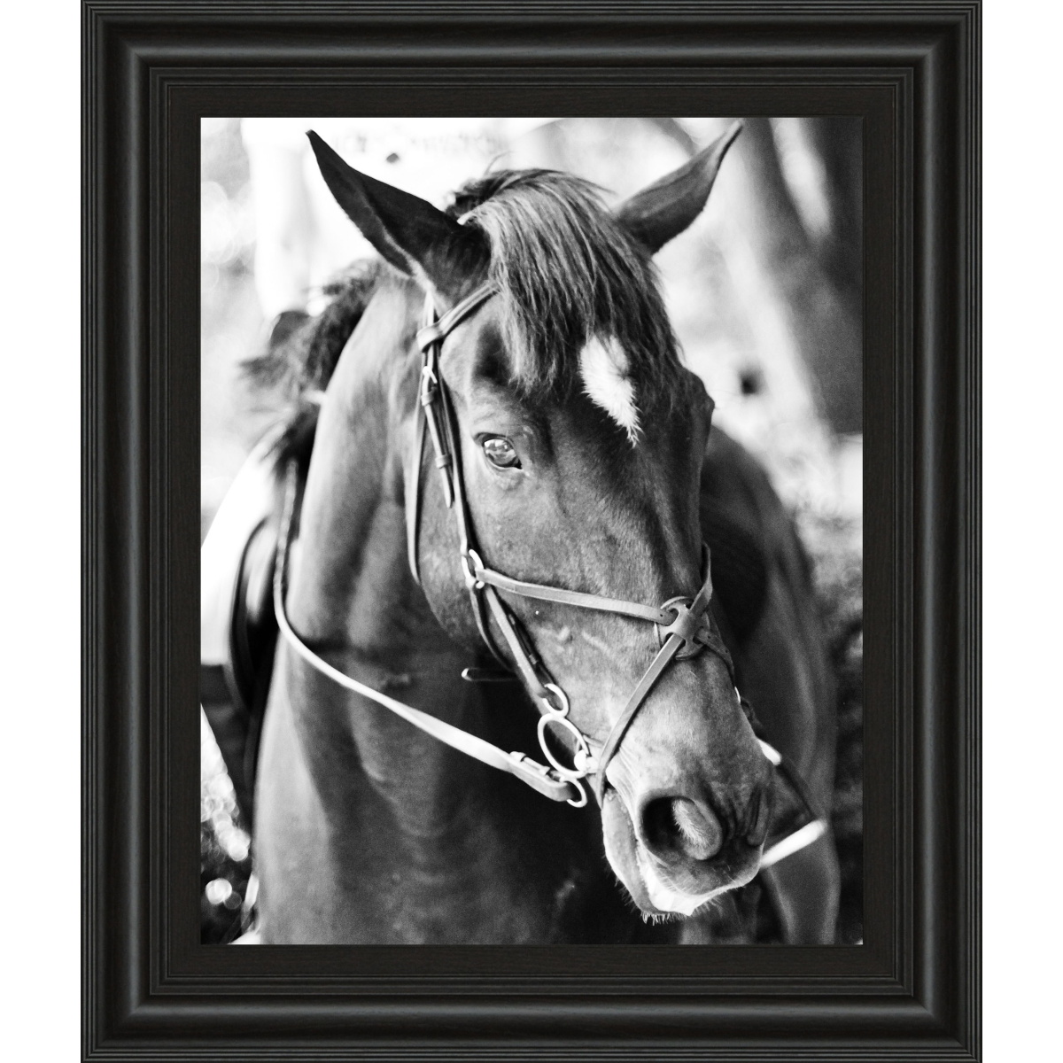 2d631289d0eb76c00162668255a977d7 Derby I By Susan Bryant - Framed Print Wall Art - Dark Gray - Image 1
