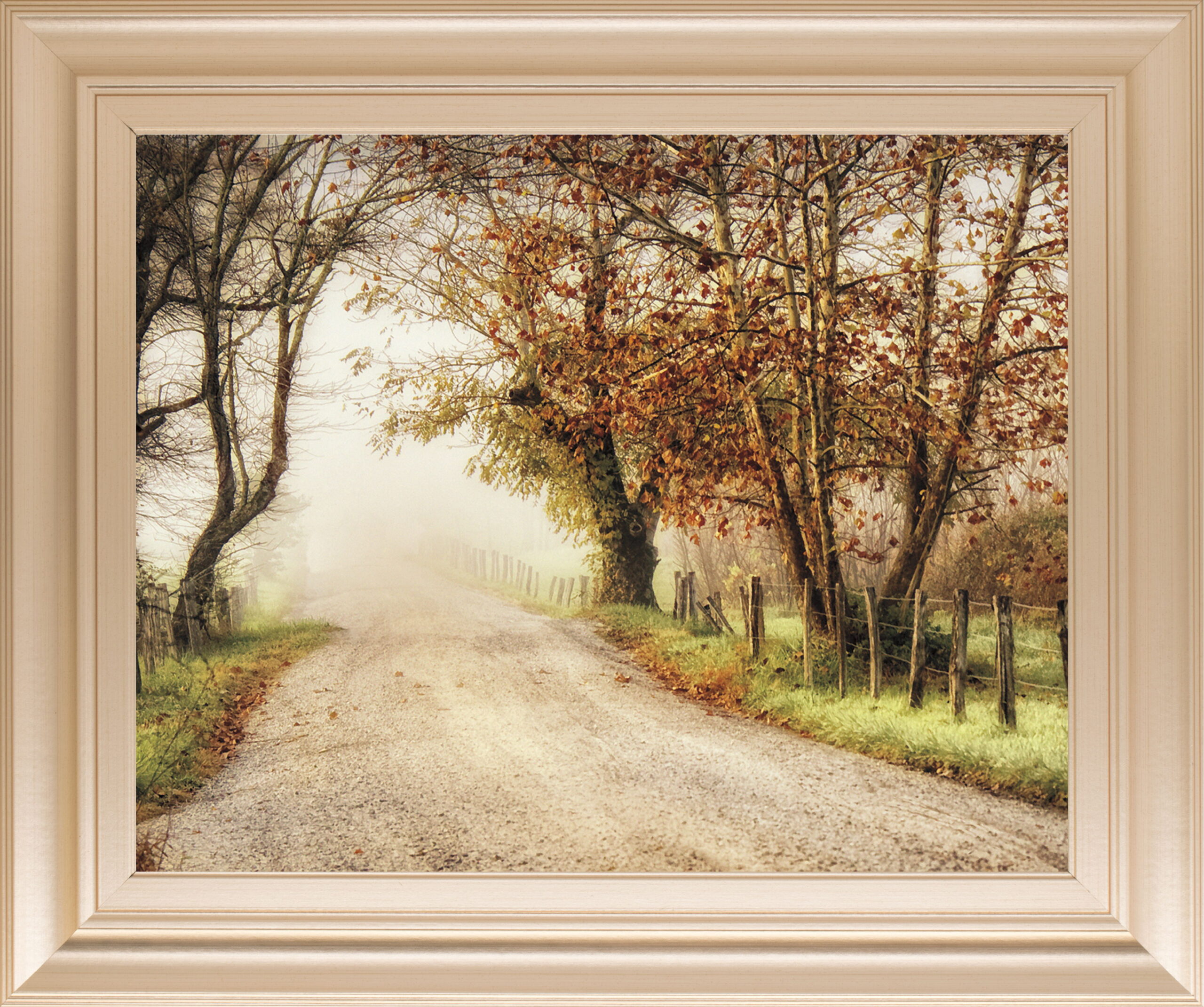 Fog Ahead By D. Burt - Framed Print Wall Art - Dark Brown