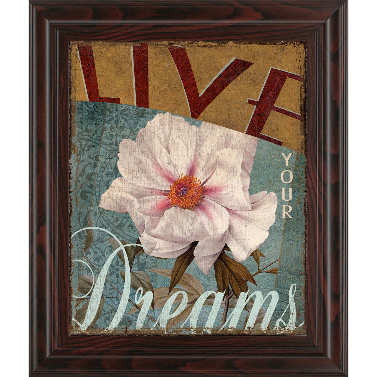 340177a65ae8f8e21e030aa2fce6b96f Live Your Dream By Kelly Donovan - Dark Gray - Image 1