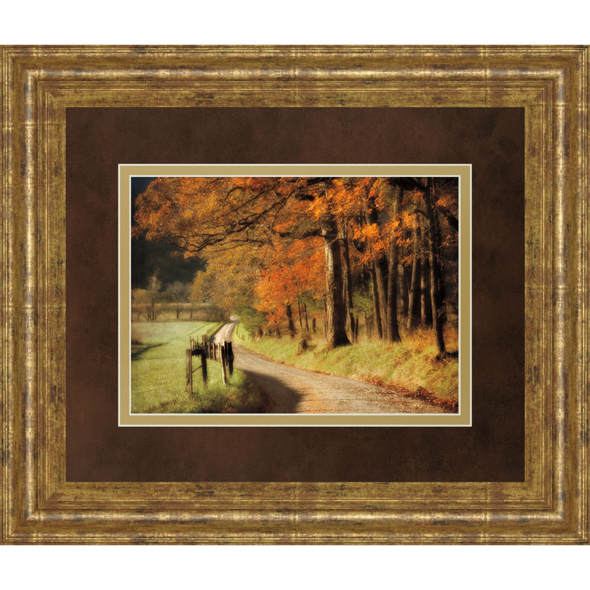 38690acd528c539f4cf0954570e9e048 Autumns Morning Light By D. Burt - Framed Print Wall Art - Orange - Image 1