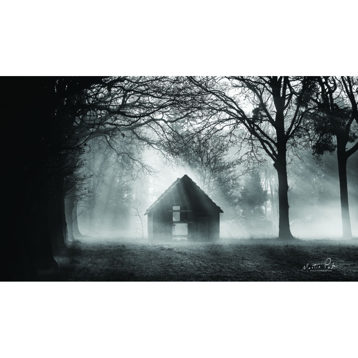 402afe0d4a2edbb4445d571425ed89e8 The Shed By Martin Podt - Dark Gray - Image 1