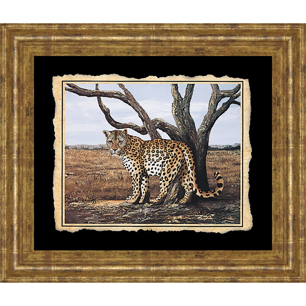 41a54aae65ea8b74d9cf00e90a6ac38a Cheetah - Framed Print Wall Art - Beige - Image 1