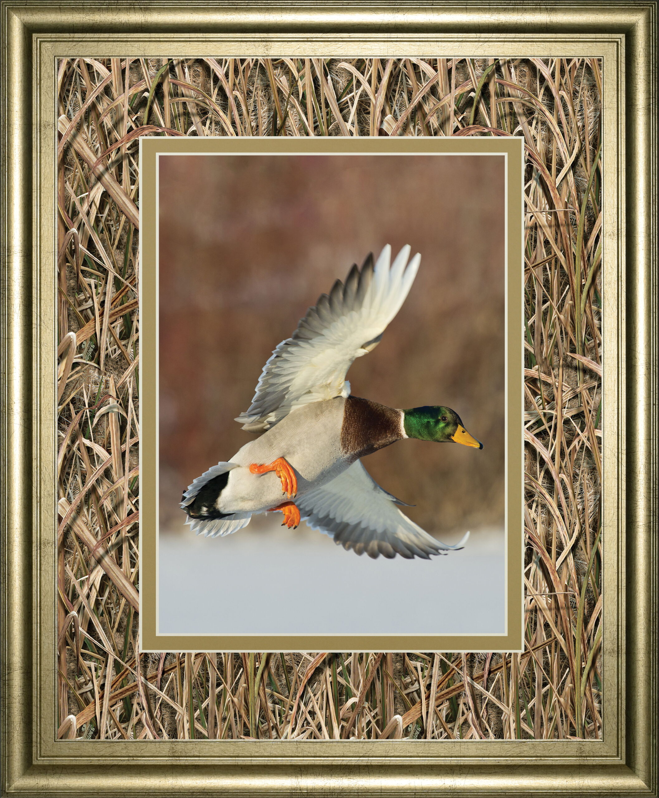 Flying Mallard By Steve Oehlenschlager Mossy Oak Native Living - Framed Print - Light Brown
