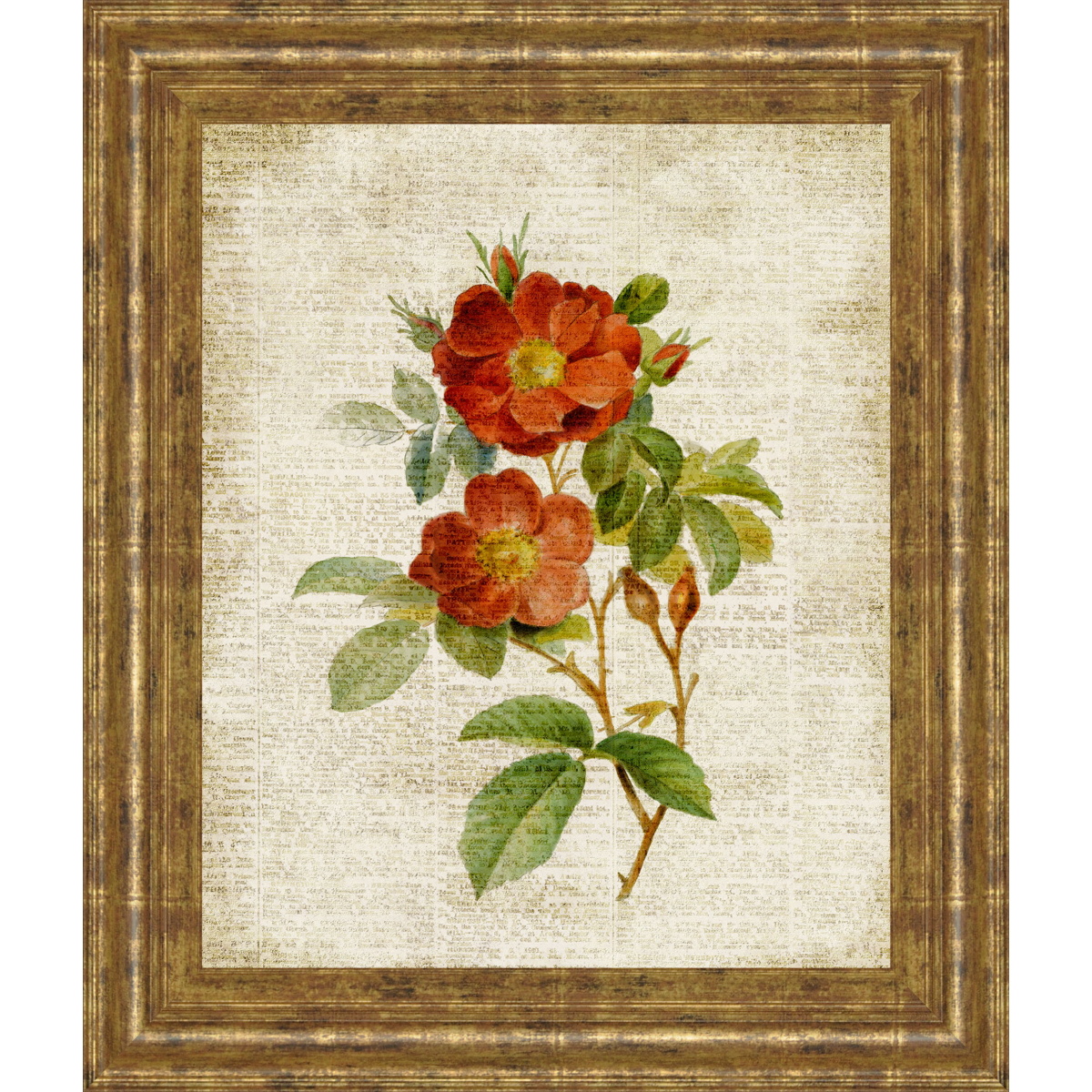 6a3d74884e49e969ebb5347d07df56ee Roses On Newsprint Il By Lanie Loreth - Framed Print Wall Art - Beige - Image 1