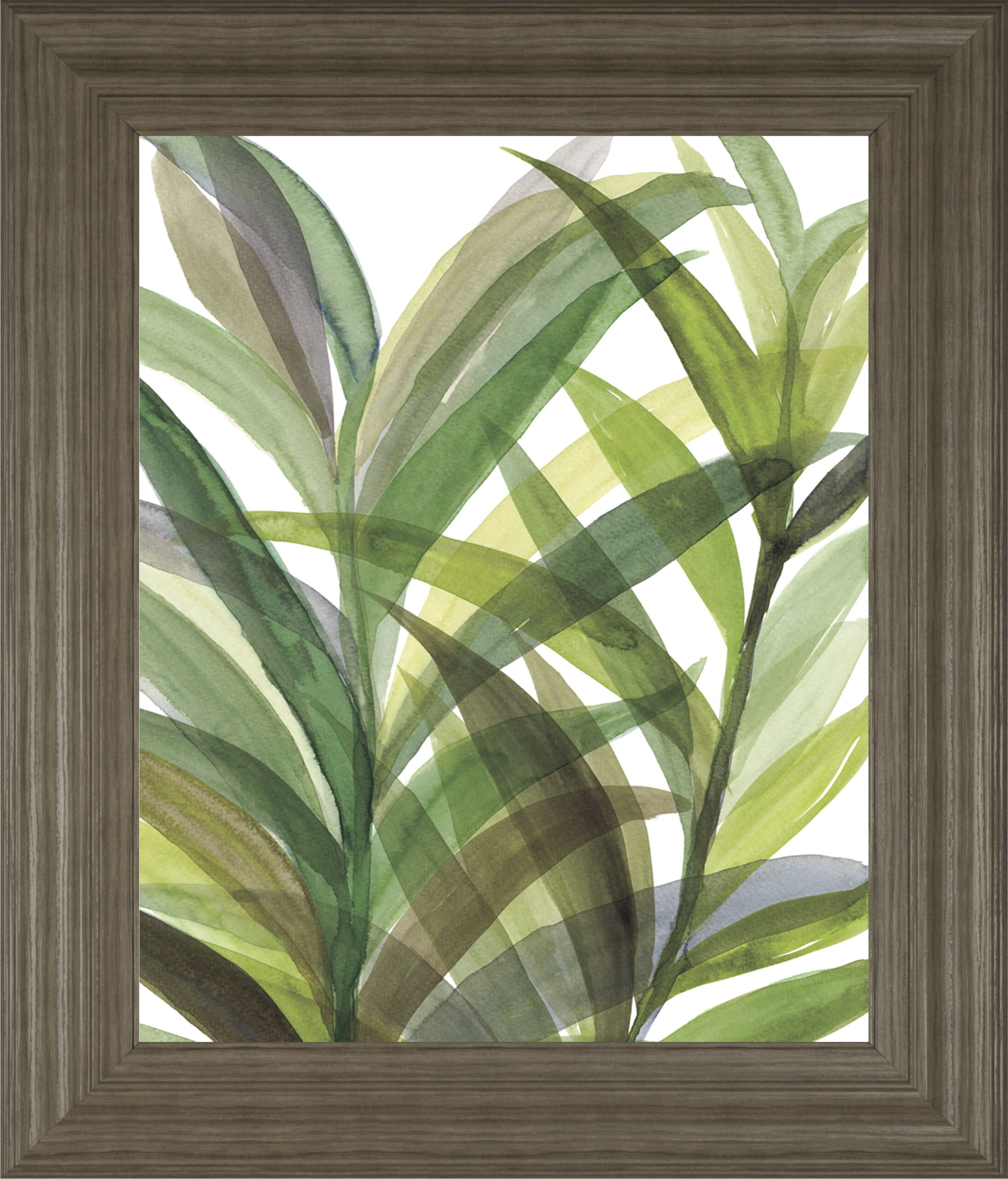 Tropical Greens Il By Rebecca Meyers - Framed Print Wall Art - Green