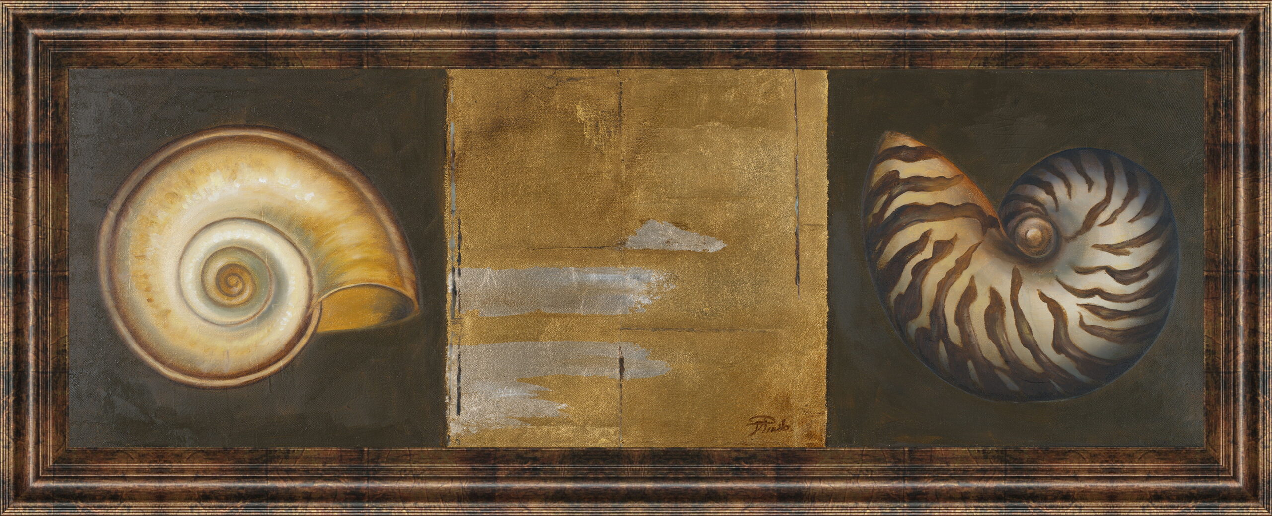 Seashells I By Patricia Pinto - Framed Print Wall Art - Gold