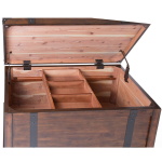 Aspen Skies - Storage Trunk - Dark Brown - Image 5