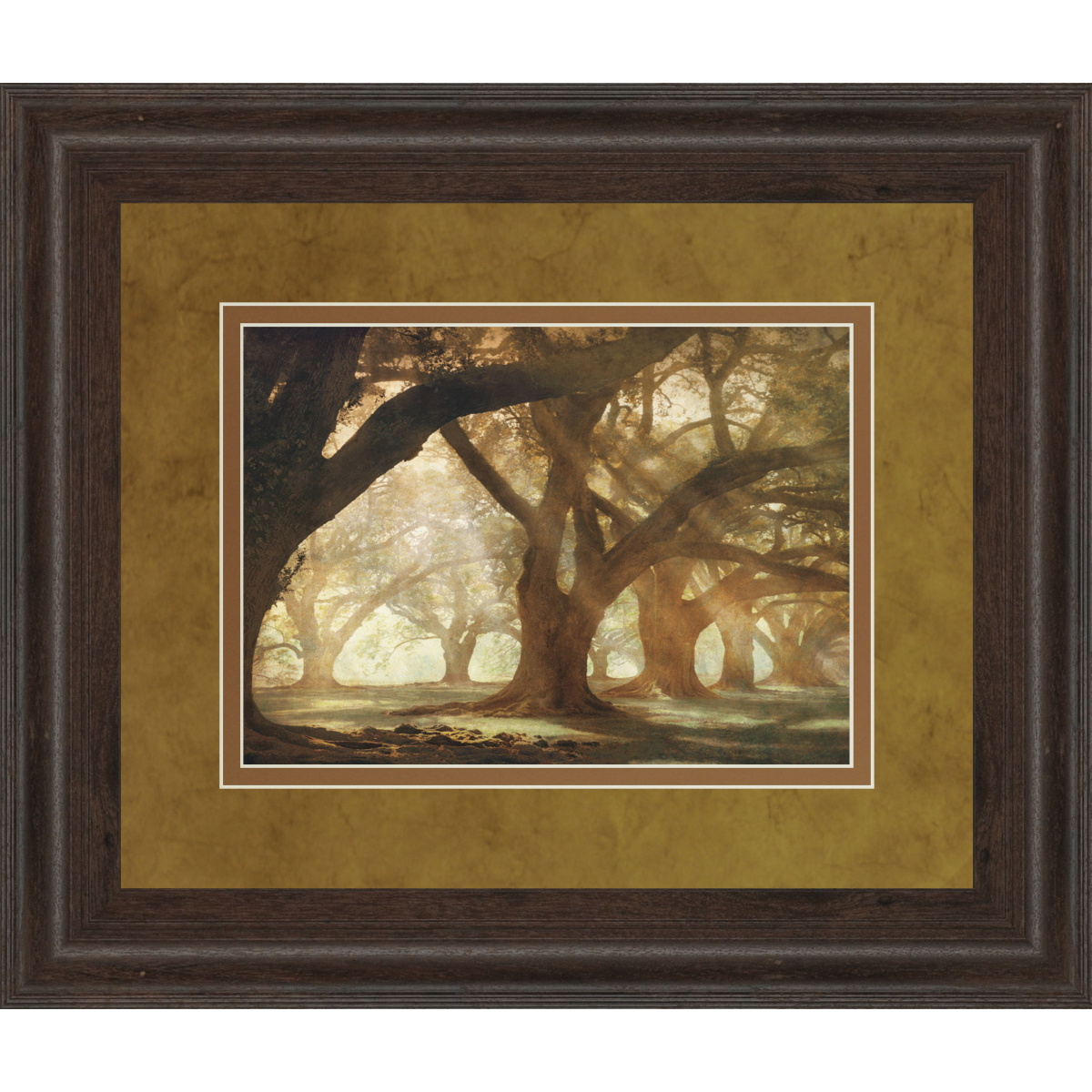 938ed84bdfaeda60caaf0dc4f3fa28ec Oak Alley Morning Light By William Guion - Framed Print Wall Art - Light Brown - Image 1