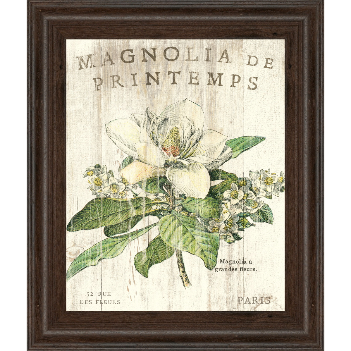 a22db3484ab89f6f1f7610588f74abf2 Magnolia De Printemps By Sue Schlabach - Framed Print Wall Art - Beige - Image 1