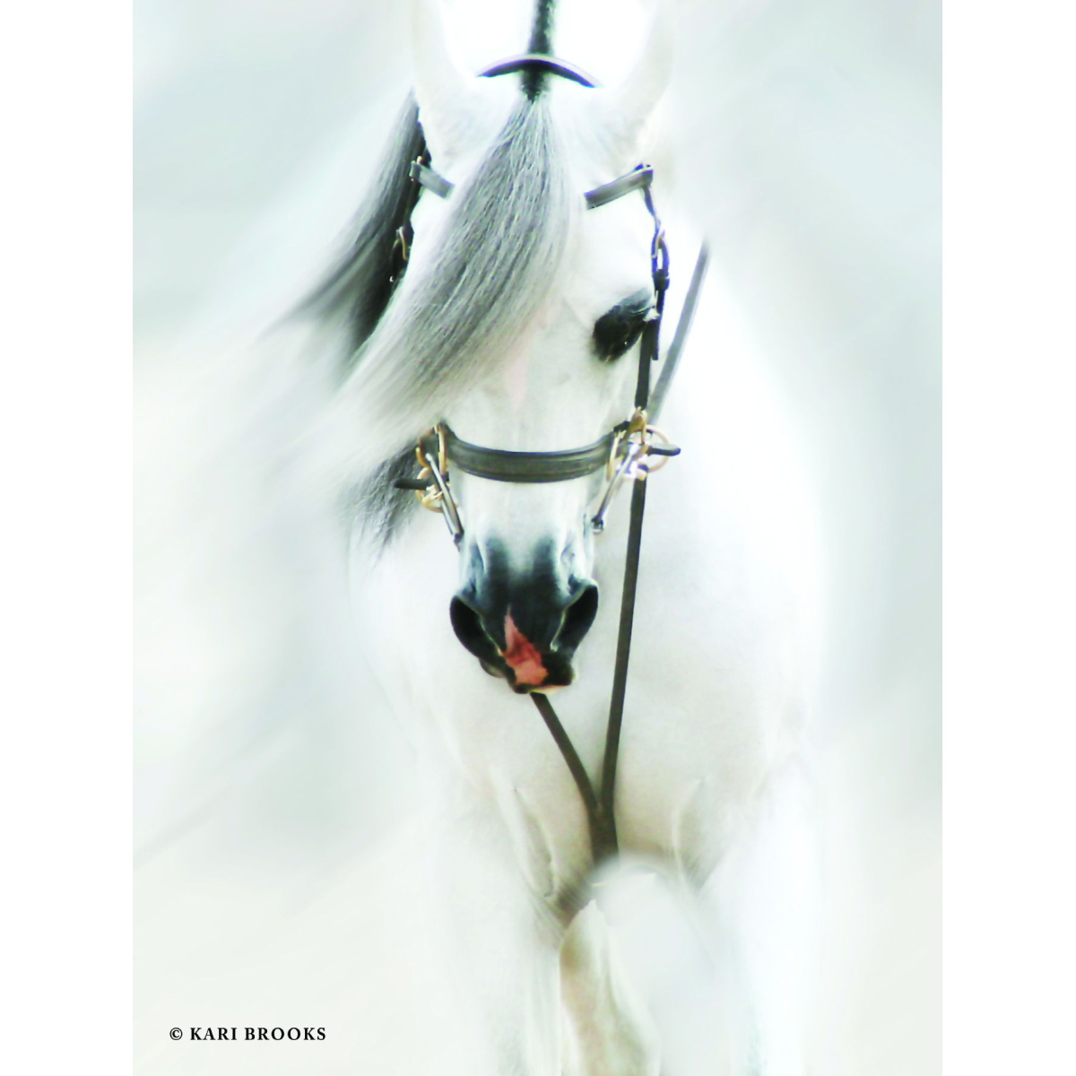 dc3a8d0668c4c1609cc32347612ee195 Dream Horse By Kari Brooks - Pearl Silver - Image 1
