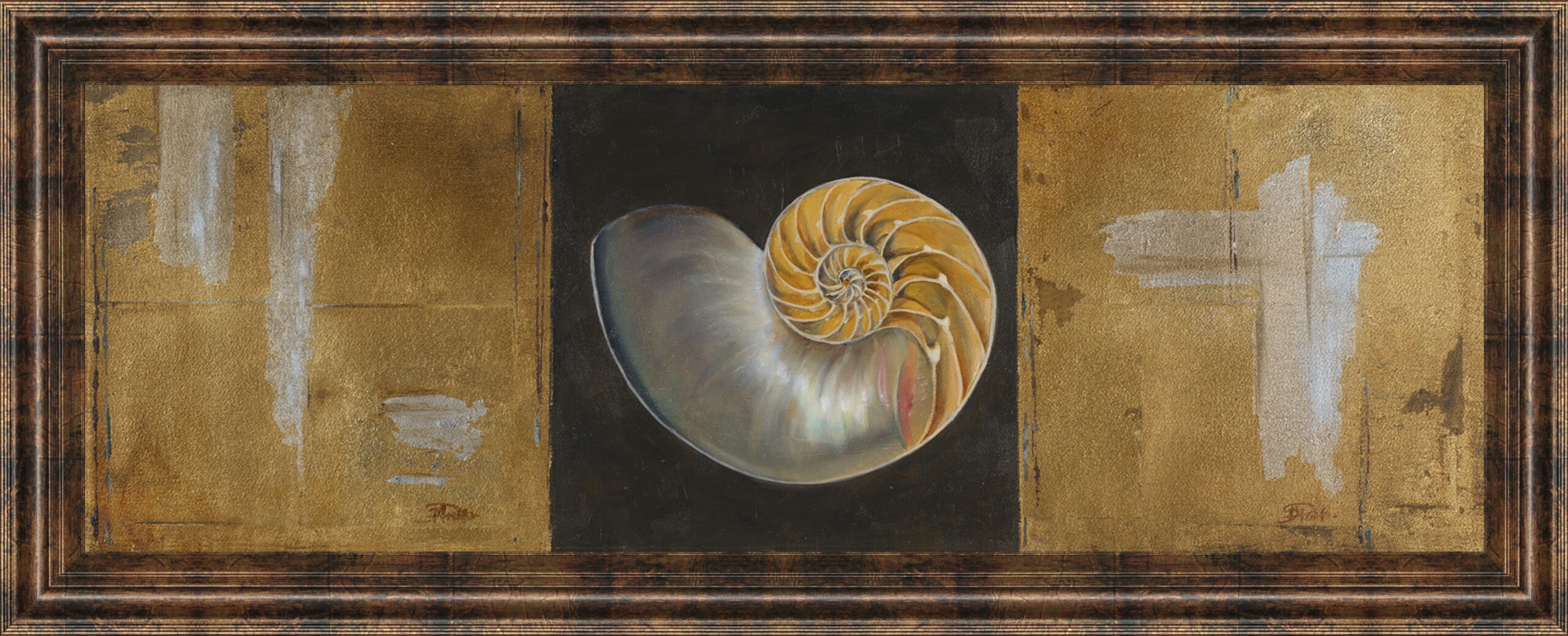Seashells Il By Patricia Pinto - Framed Print Wall Art - Gold