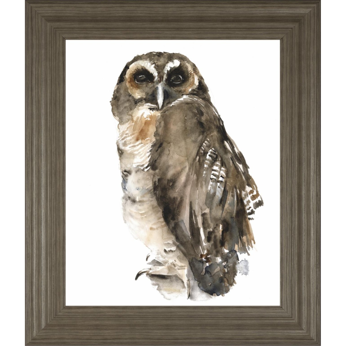 0644402b254e80988f1893ea7bcc2fcd 22x26 Watercolor Owl I By Jennifer Paxton Parker - Dark Gray - Image 1