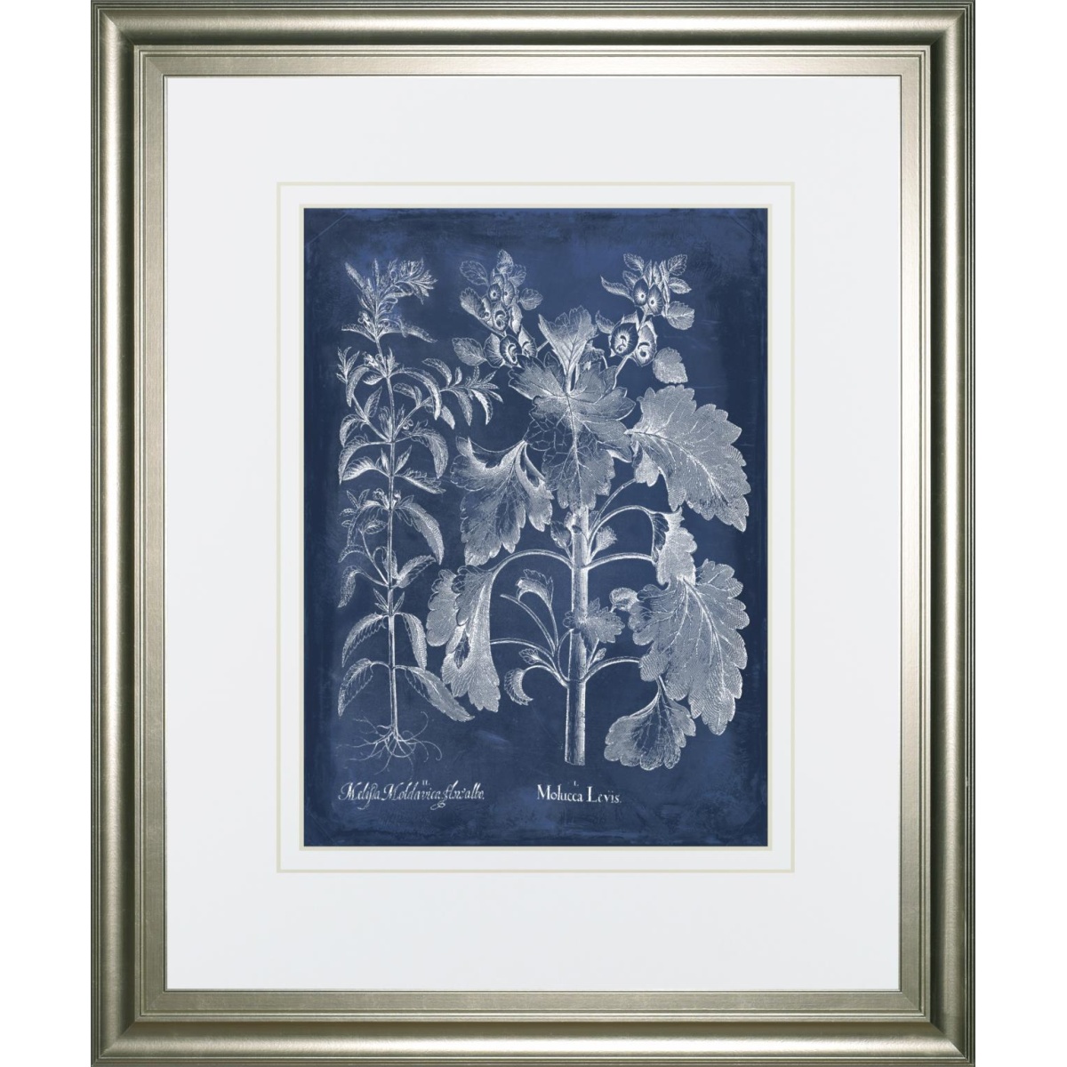 1917d817ca788f896e36f425afa54362 34x40 Besler Leaves in Indigo I By Vision Studio - Blue - Image 1