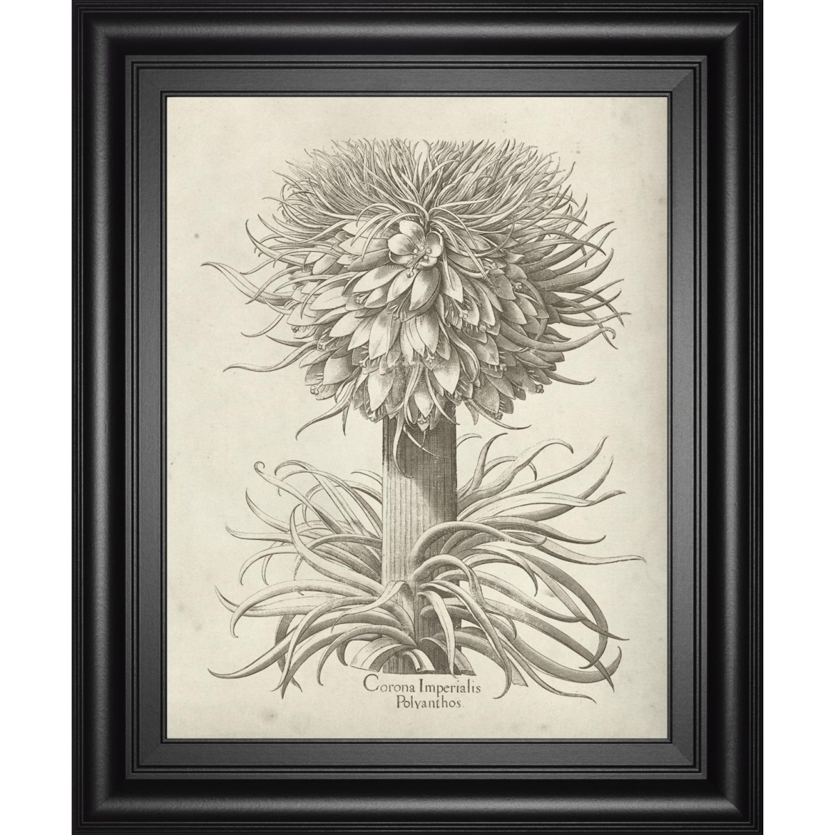 5fc2a2f4f2ea4470a20f3a9878e7c716 22x26 Fresco Crown Imperial I By Vision Studio - Beige - Image 1