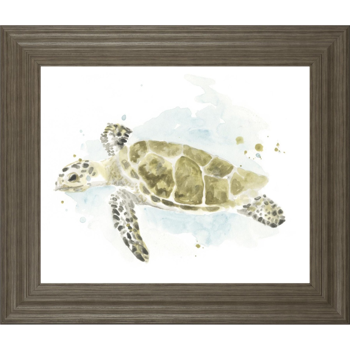 6ba426446717afa15faf51ae59f37ce2 22x26 Watercolor Sea Turtle Study II By June Erica Vess - Beige - Image 1