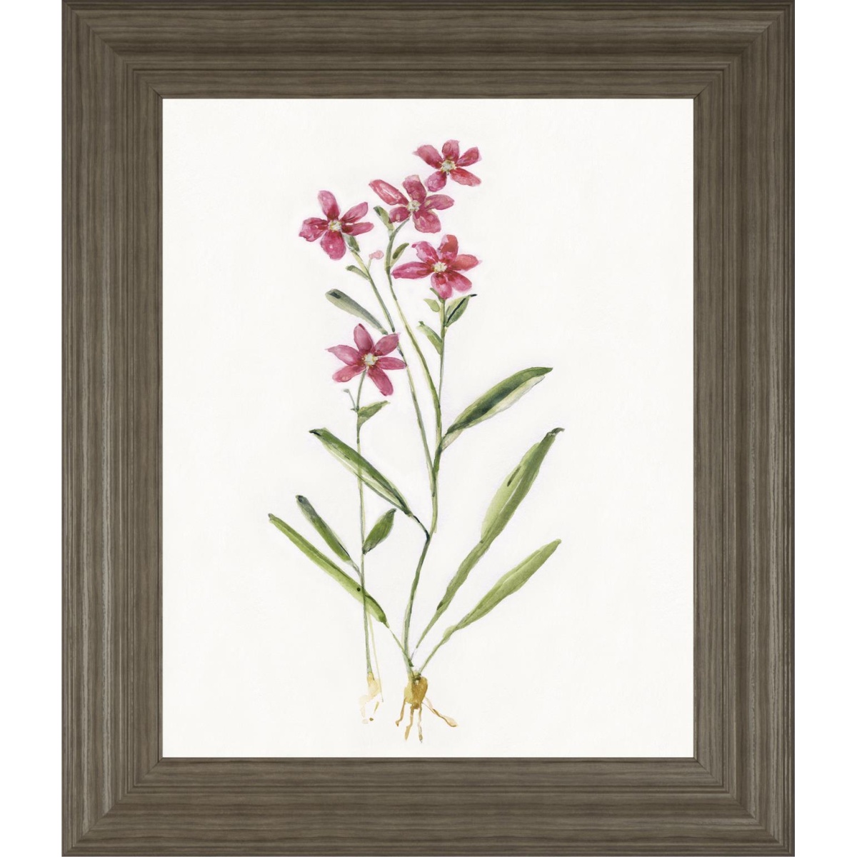 76d4b1a784ebc863c6e331f8c8808328 22x26 Delicate II By Sally Swatland - White - Image 1