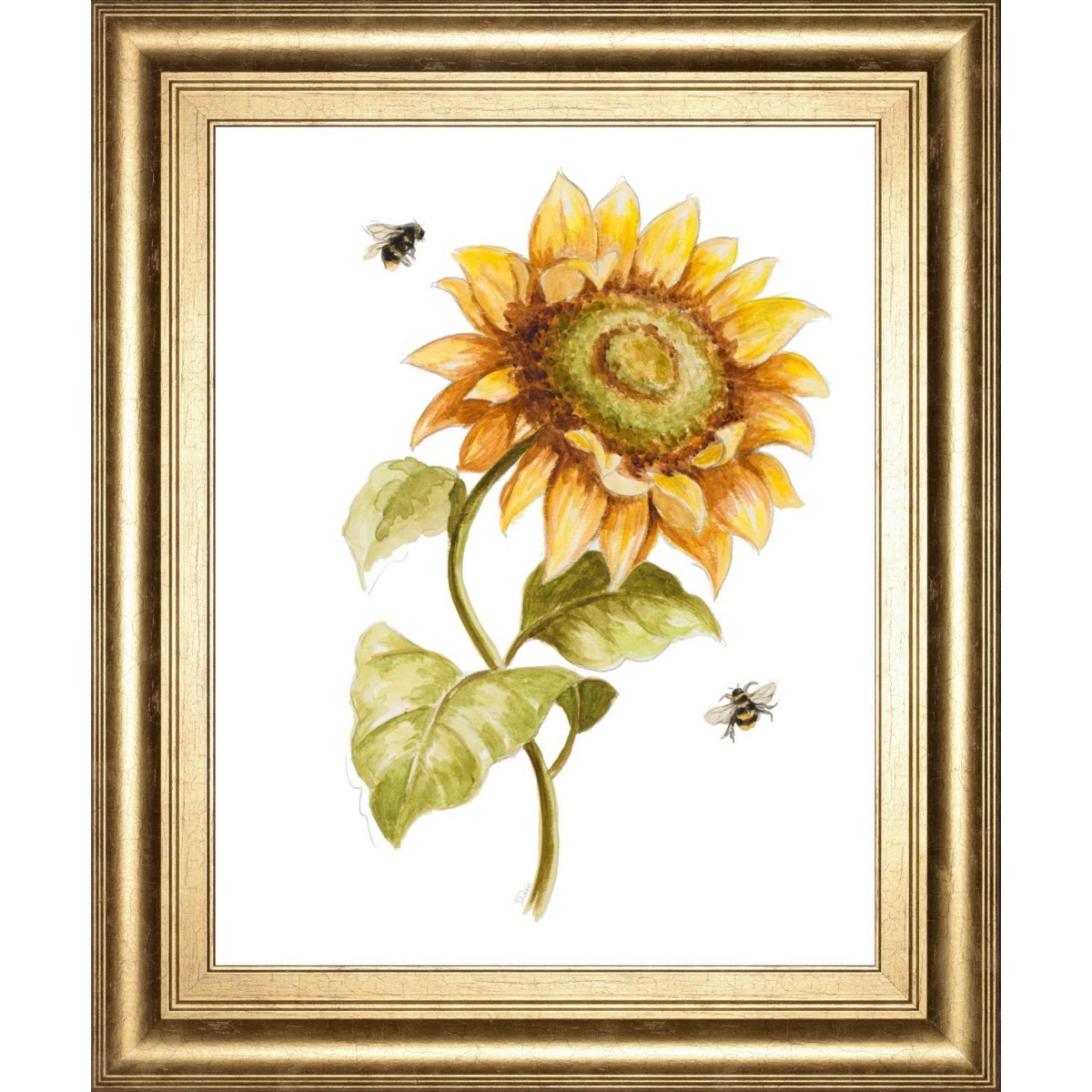 78c5c0e1a48ae4f66684e76ae5e6214e 22x26 Harvest Gold Sunflower II By PatriciaPinto - Yellow - Image 1