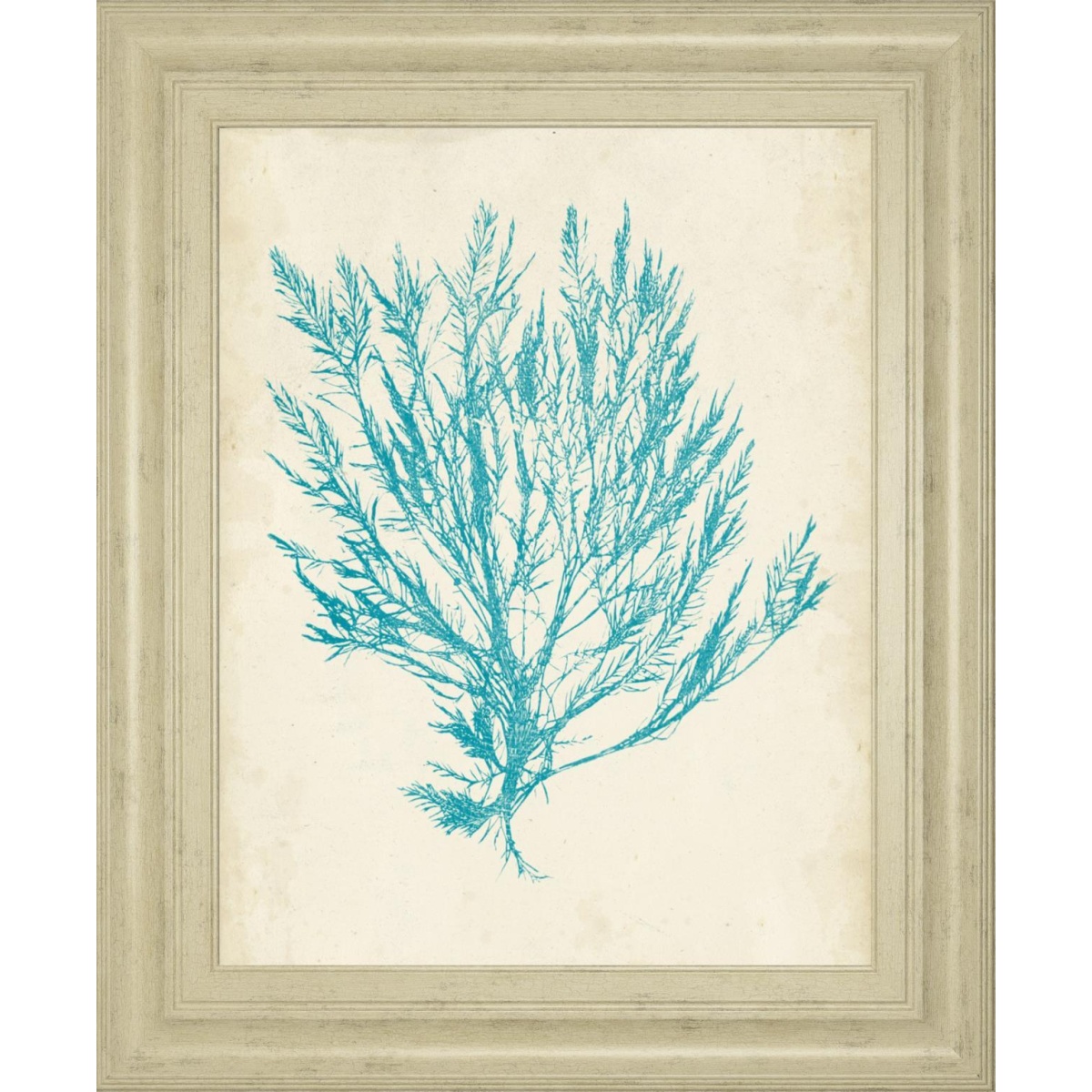 b01f1bce95d92ff5019418e7d45543e7 22x26 Aquamarine Seaweed IV By Vision Studio - Light Blue - Image 1